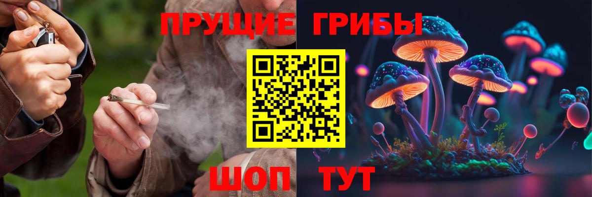 Псилоцибиновые грибы Cubensis  Вход с VPN  Костомукша 