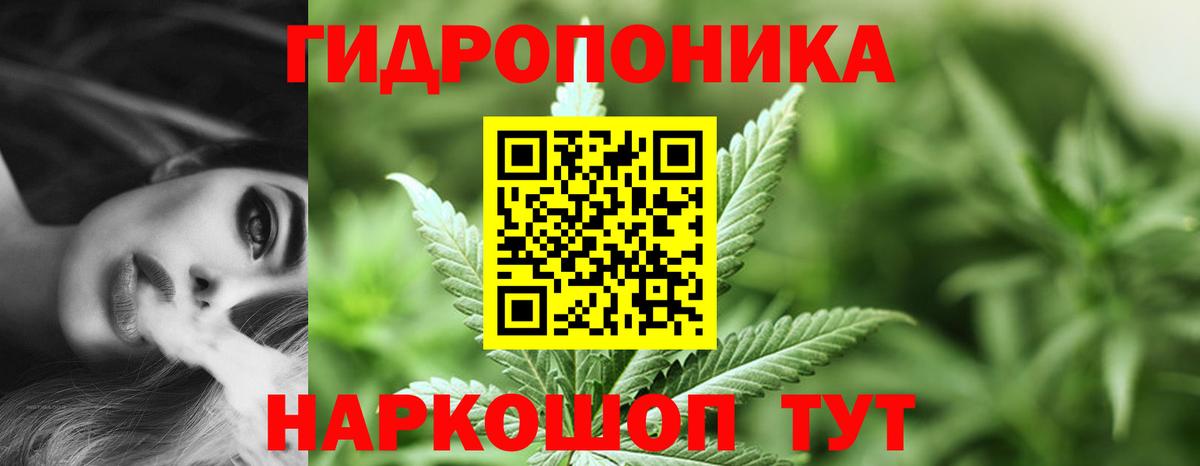 Костомукша  Каннабис Bruce Banner  Бошки марихуана планчик  Вход с VPN  Марихуана тримм 